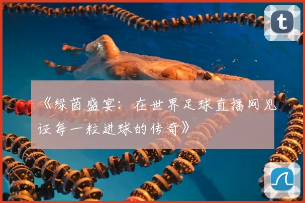 《绿茵盛宴:在世界足球直播网见证每一粒进球的传奇》