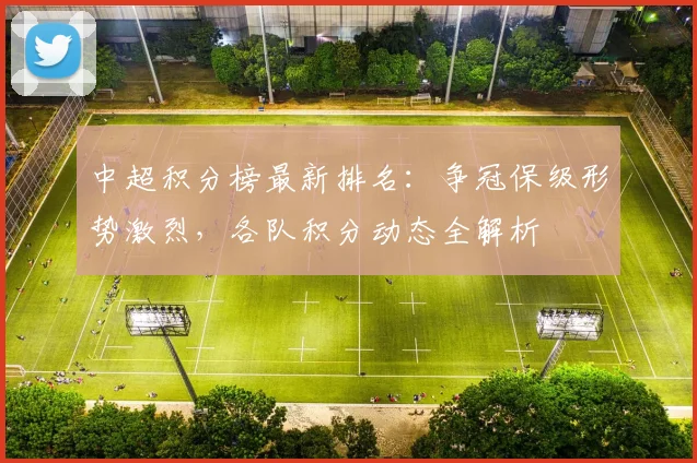 中超积分榜最新排名:争冠保级形势激烈,各队积分动态全解析