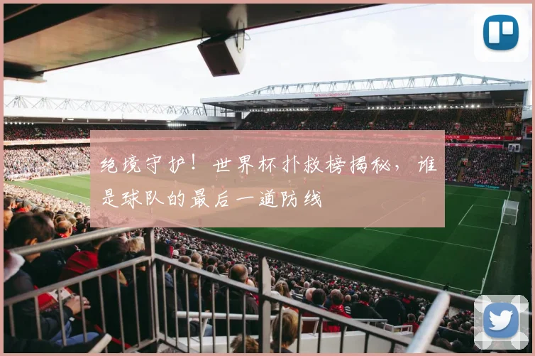 绝境守护！世界杯扑救榜揭秘，谁是球队的最后一道防线
